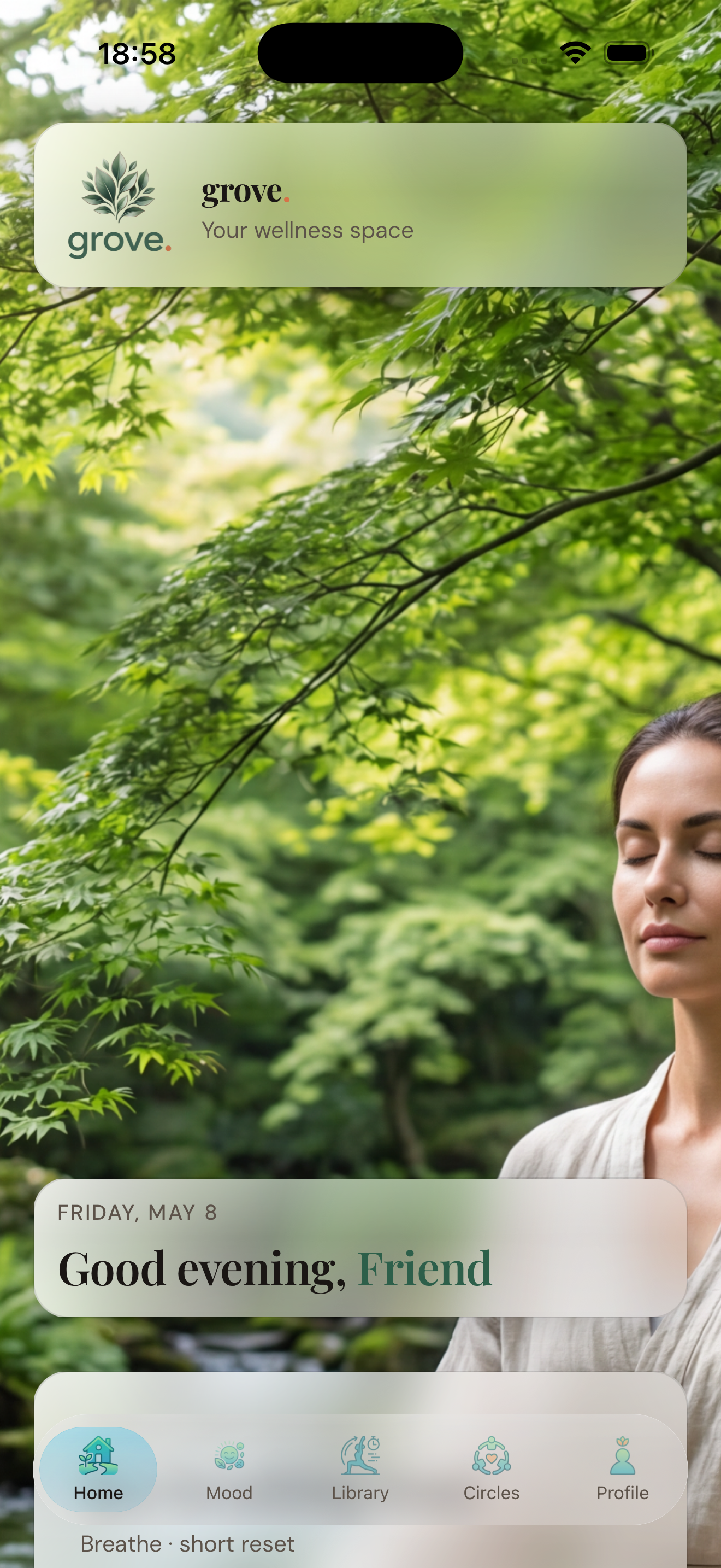 Gruvium meditation home experience with nature backdrop and wellness navigation